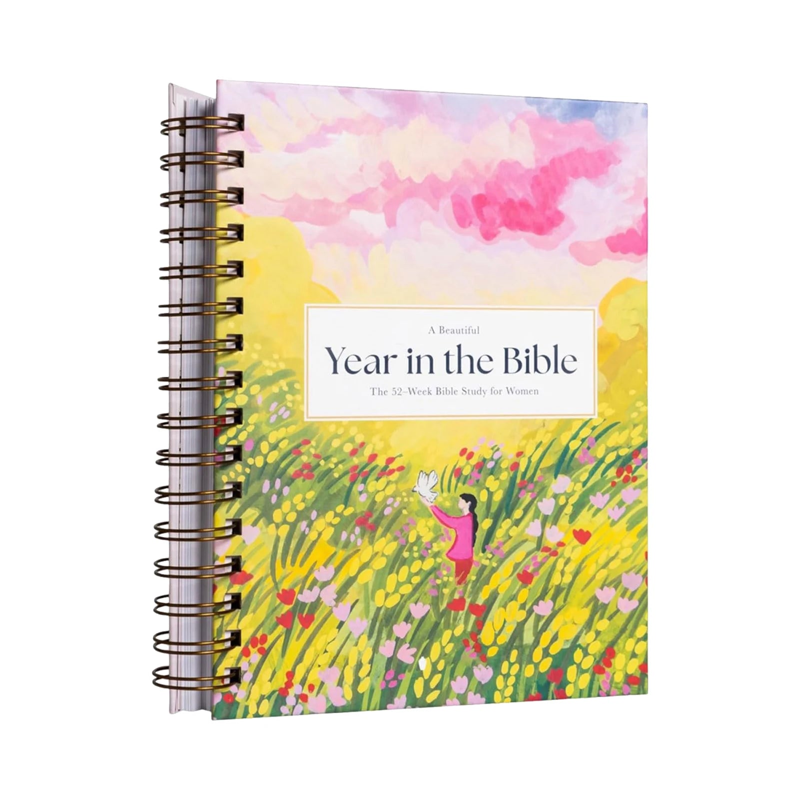The Abide Journal : Bible In a Year Study Guide
